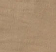 Abita Short in Golden Tan - Image 7