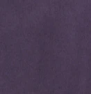 Archive Hoodie in Heliotrope - Image 7