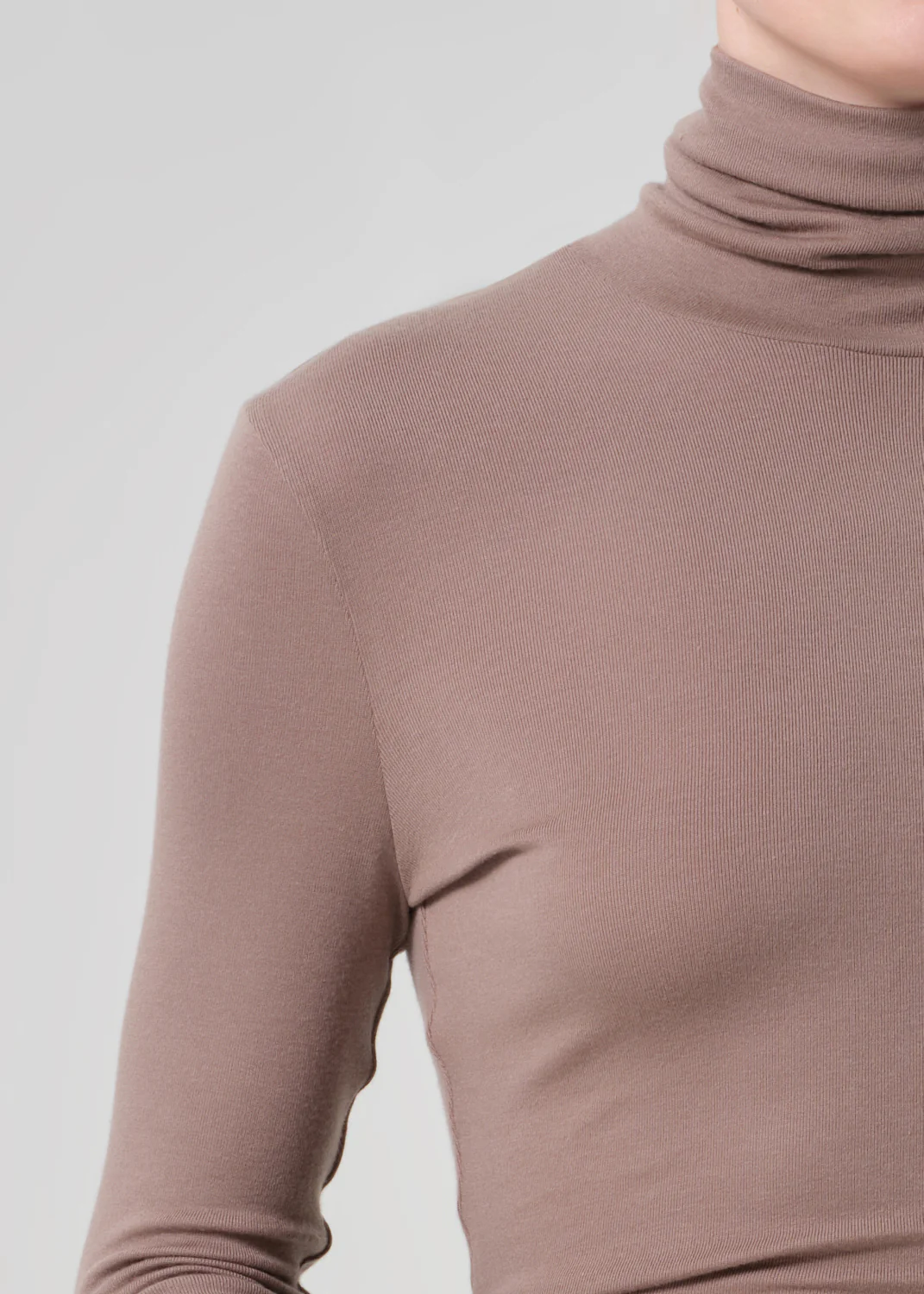 Caradene Turtleneck in Cocoa - Image 4