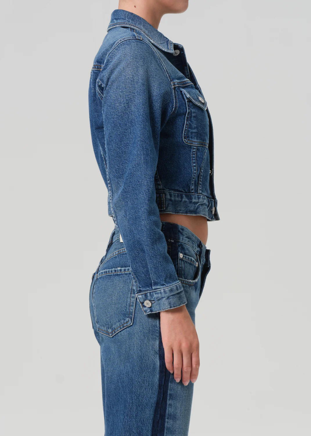 Charisse Shrunken Jacket in Briar - Image 3