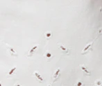 Court Short in Blanc - Image 6